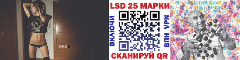Наркотические марки 1,8мг  продажа наркотиков  Шали 
