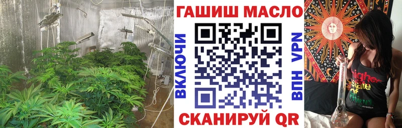 Дистиллят ТГК THC oil  mega   Шали 