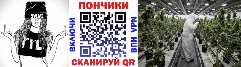 Конопля Ganja ОМГ ОМГ как зайти Шали